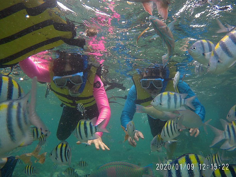 [세부] 앨런 가이드와 함께한 세부여행~~^^ 