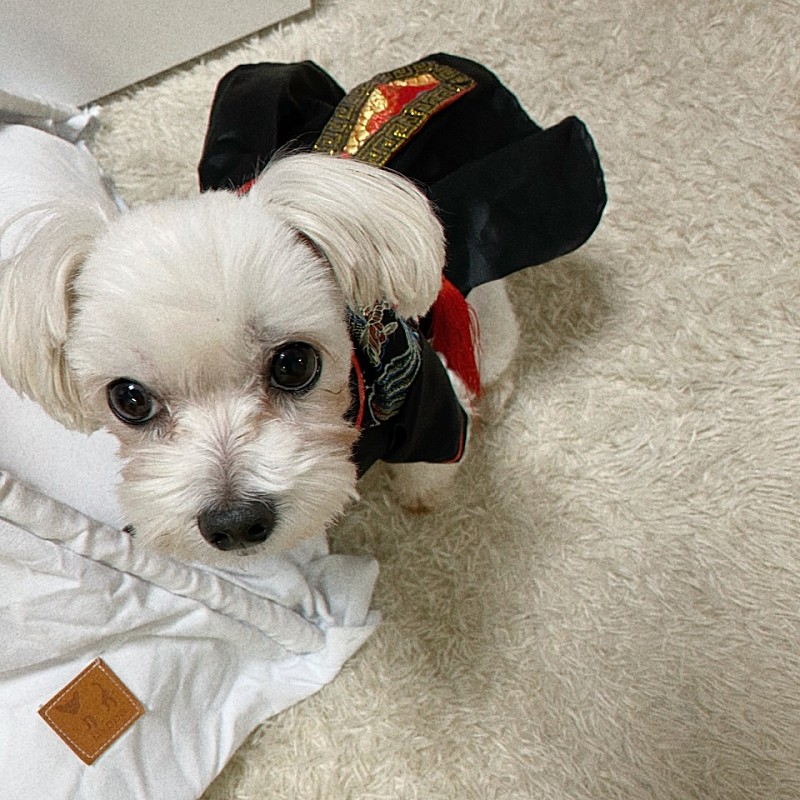 [대만] 2019.11.21~2019.11.24 마리오가이드(황현식)님과 투어한 대만여행 후기남겨요 ~: )