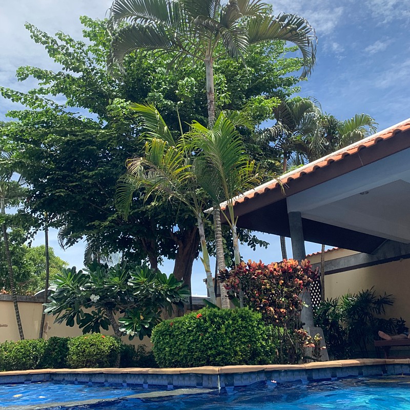 [방콕&파타야] 가이드맨 파타야&방콕 후기올립니다 :)