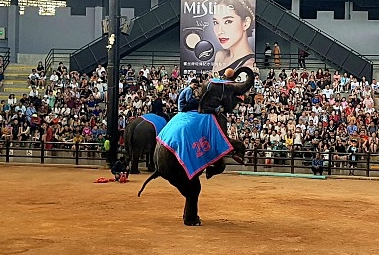 [방콕&파타야] 방콕&파타야 여행(4인가족) 후기 올립니다~