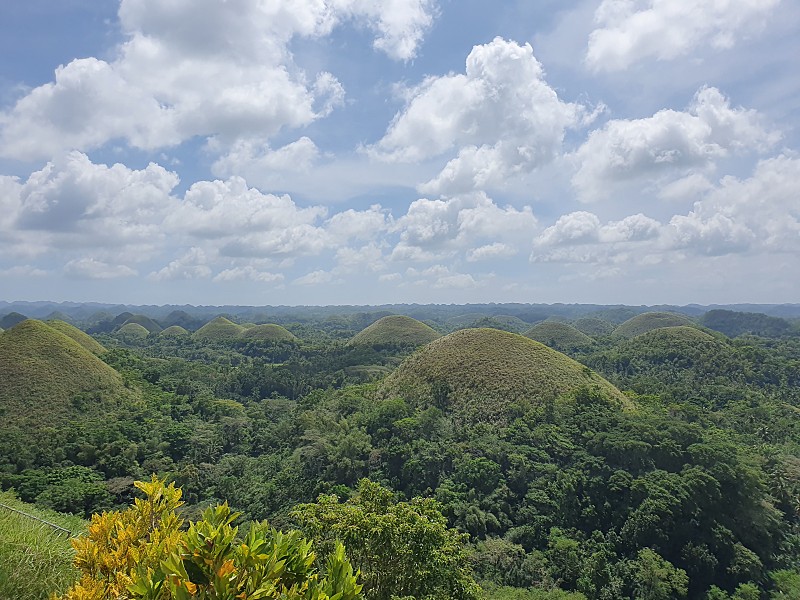 [보홀] 보홀 민삼촌 안녕~~