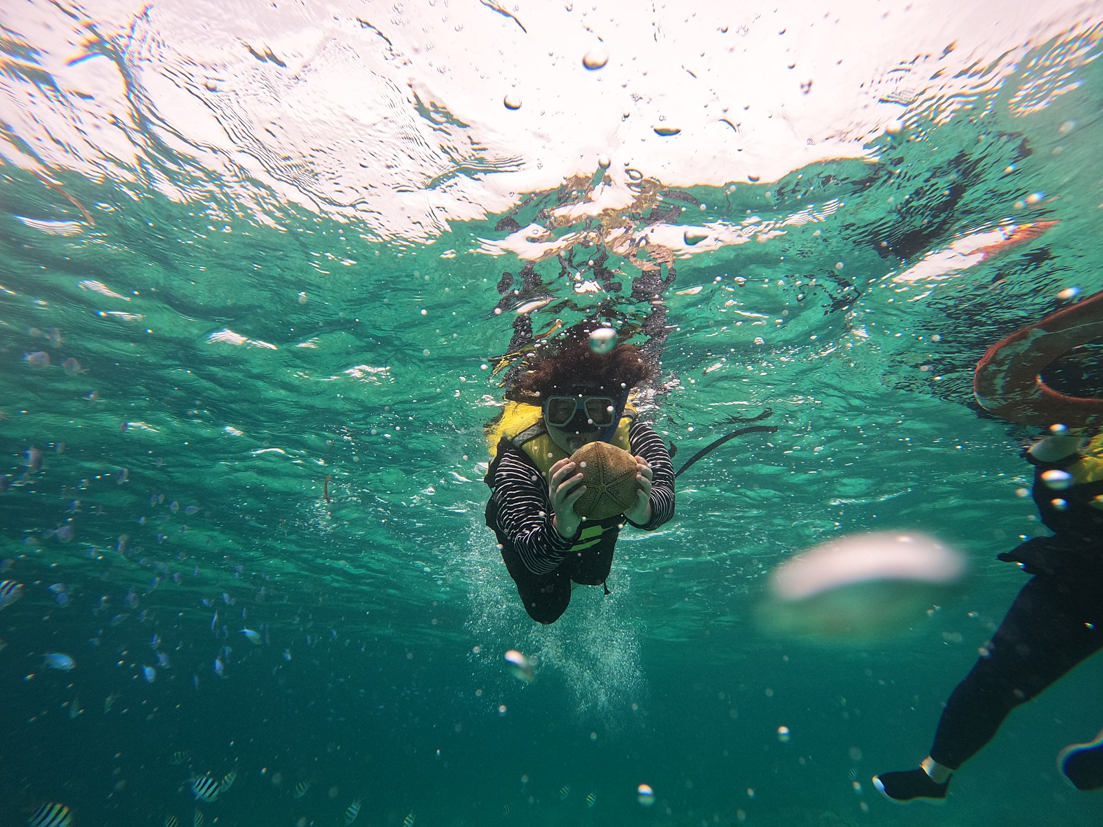 [세부] 잊지못할 세부여행(with.이든 가이드님)