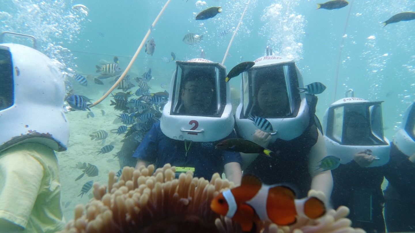 [코타키나발루] 코타 최고의 미남 마이클가이드님과 미녀캔디가이드님과 함께 한 여행 후기!!