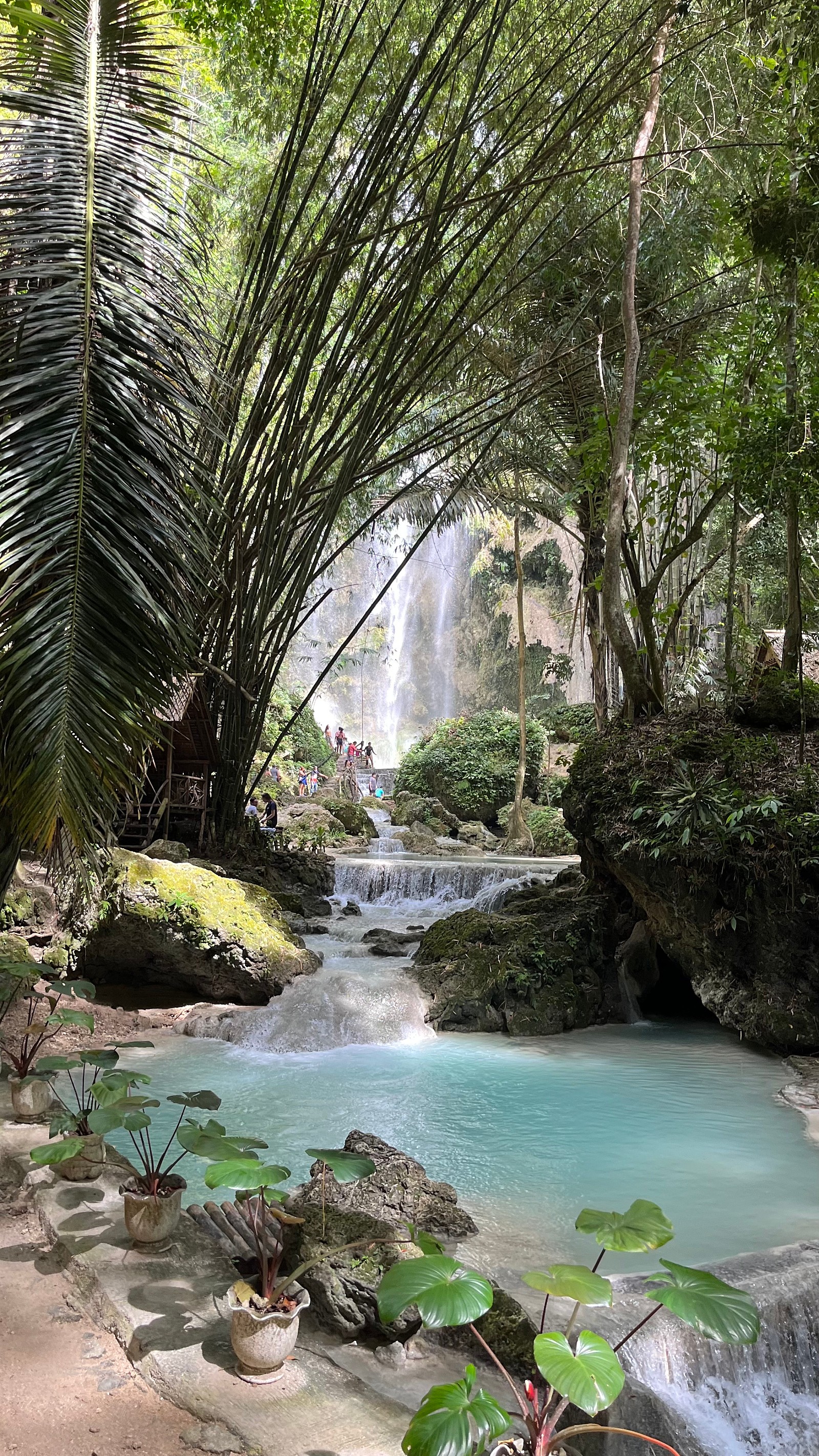 [세부] 채플린 가이드님 함께 한 즐거운 여행이였습니다!