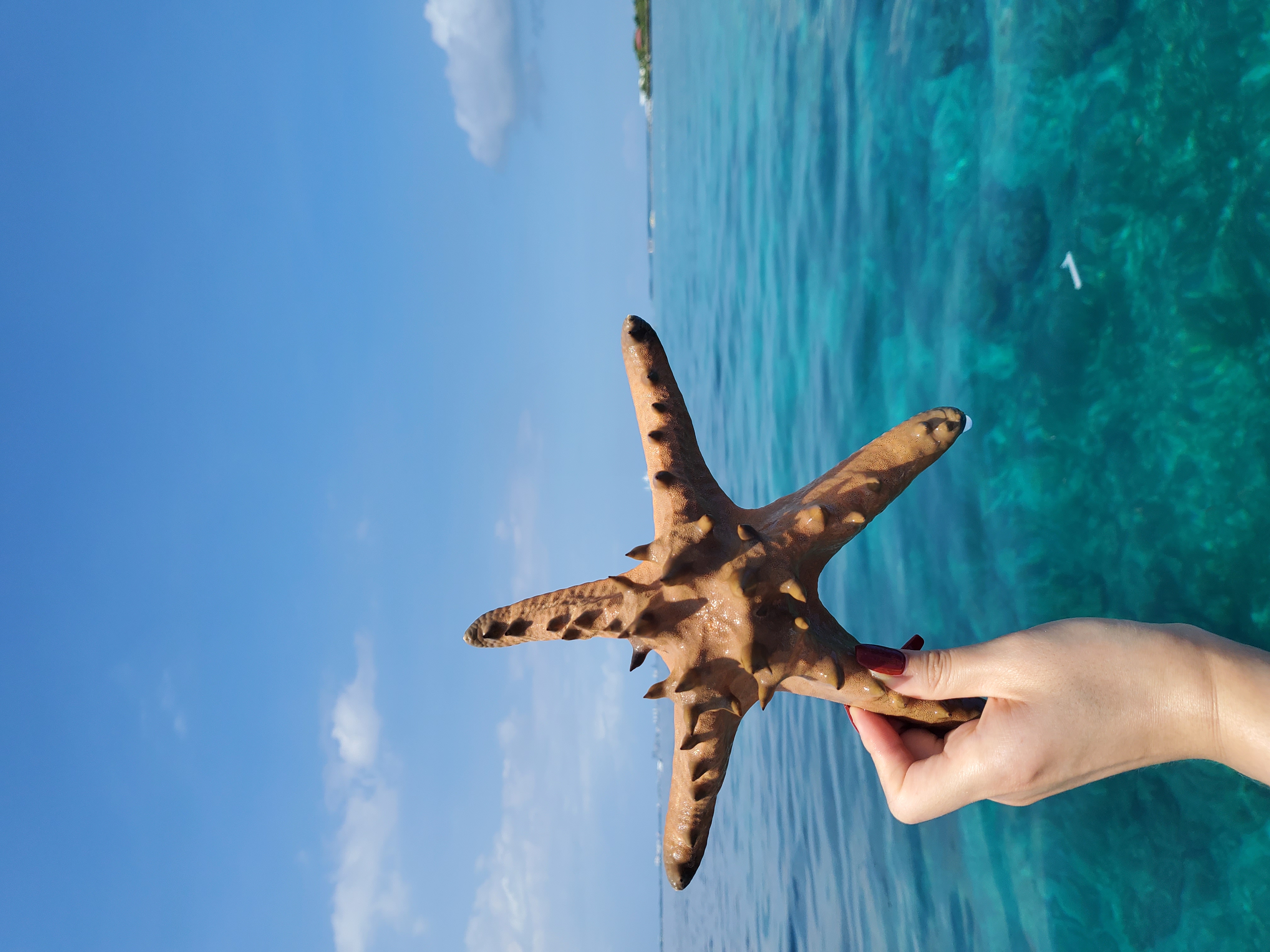 [세부] 나디아와 눈누난나 세부여행:)❤️