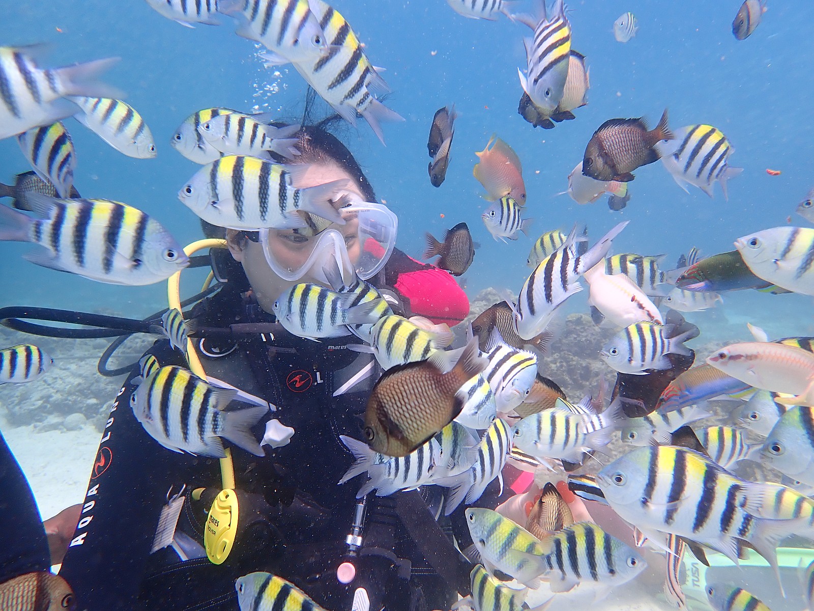 [세부] P들의 여행 with 만능 채플린 [여행 2일차]