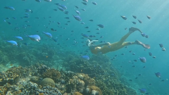 [세부] P들의 여행 with 만능 채플린 [여행 3일차]