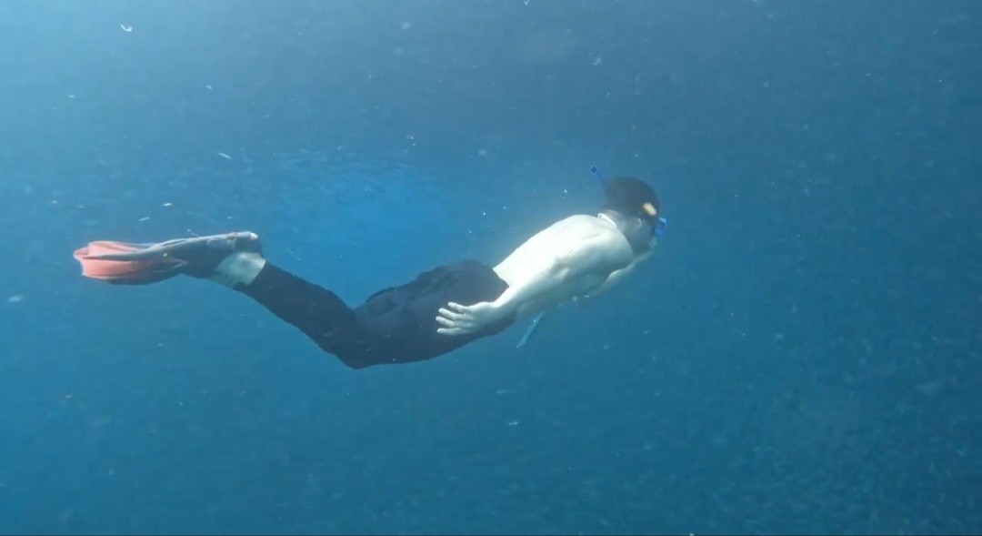 [세부] 10월 20~ 26일