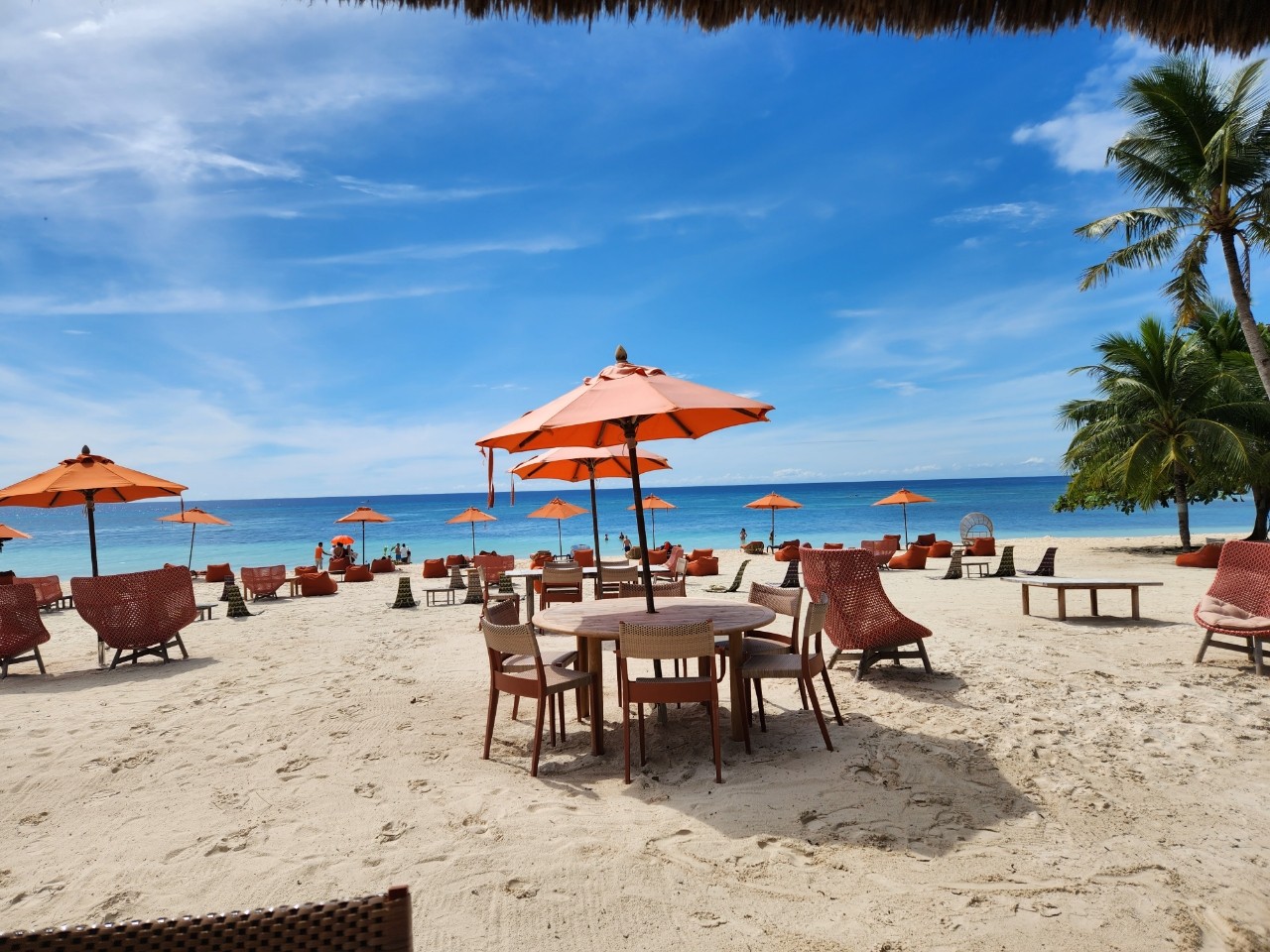 [보홀] 6) 5일차.. 사우스팜 체크아웃하고 다시 세부로