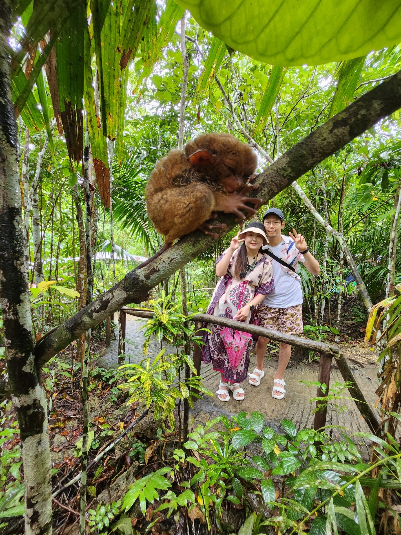 [보홀] 4) 세부 ★쿼카★와 함께하는 여행3일차 보홀로-!