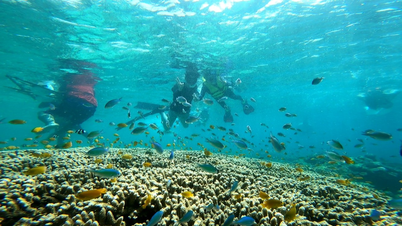 [세부] 세부여행 2일차