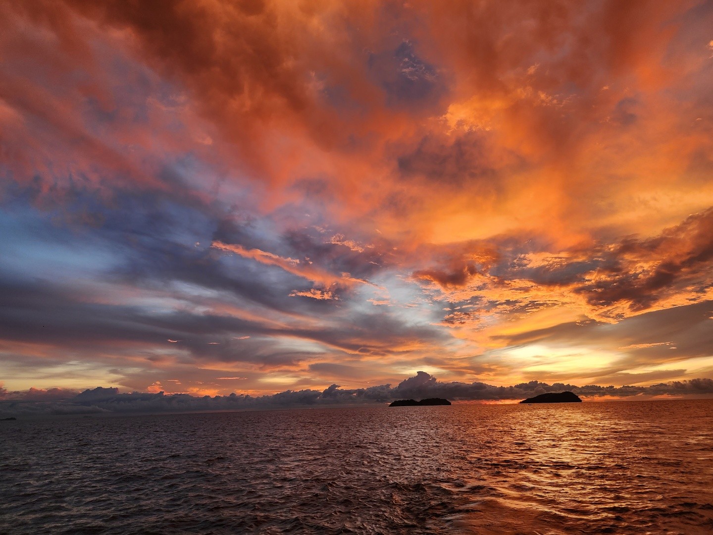 [코타키나발루] 코타여행