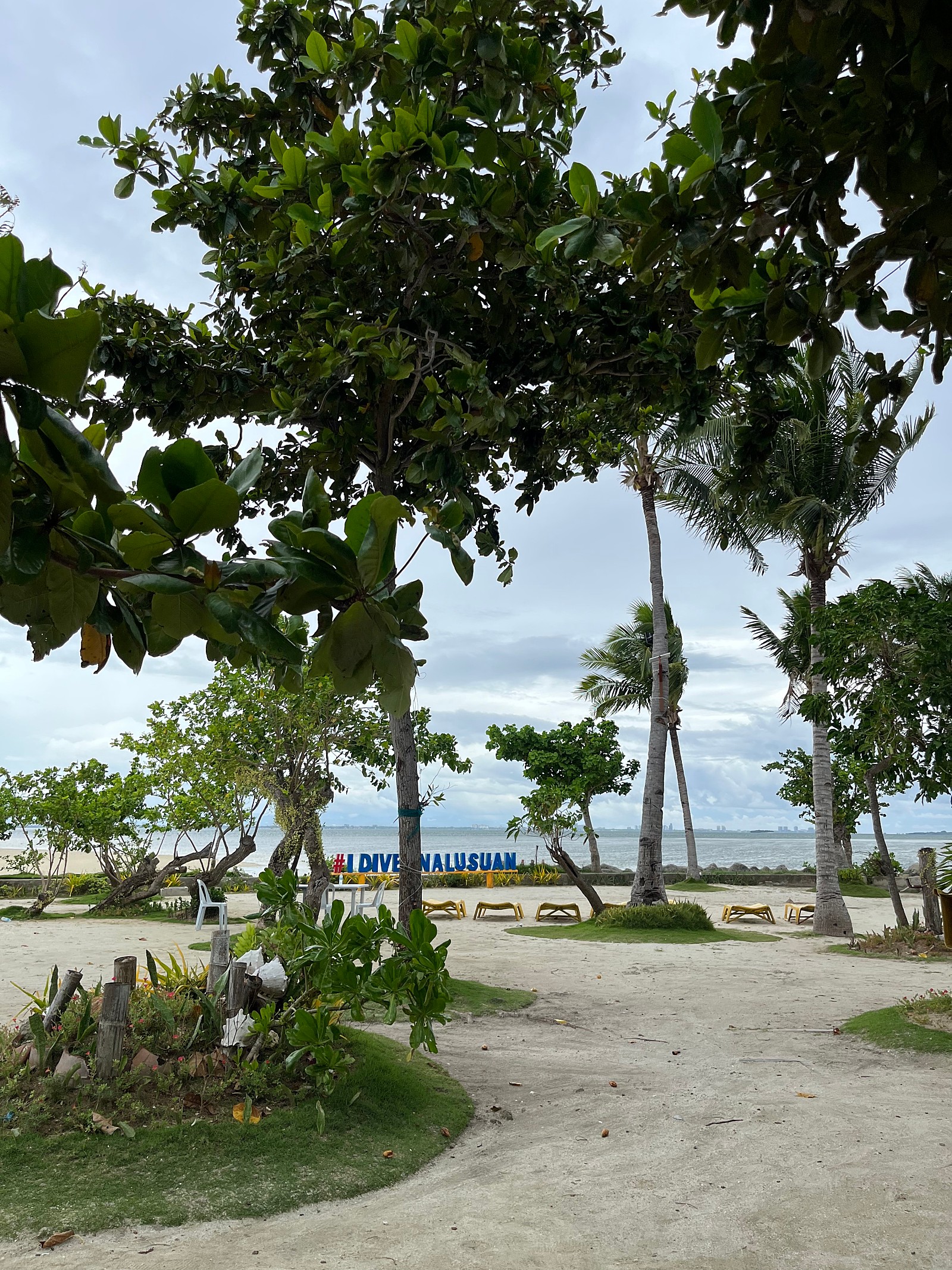 [세부] ♥️나디아(nadia)가이드님&샤빌 가이드님과 함께한 세부여행 (feat.워크샵)♥️