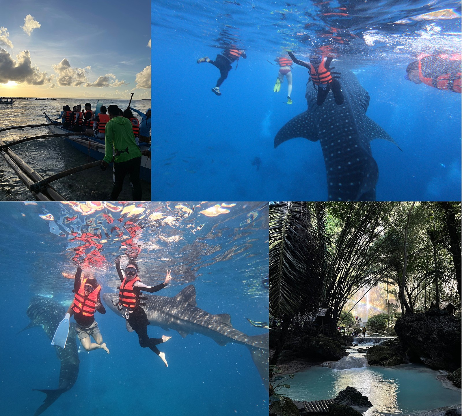 [세부] 11/24-11/29 채플린 나 내년에 다시갈거에요 기다려요!!!!!!!!!!!