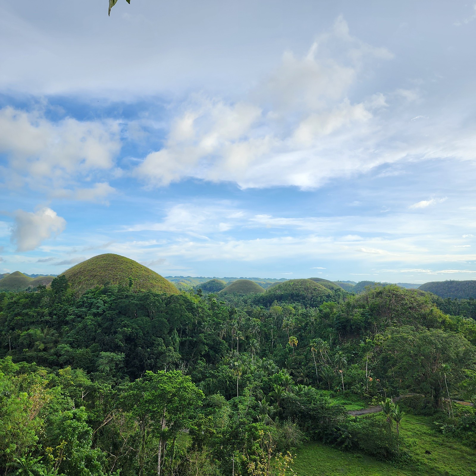 [보홀] 너무나 행복했던 보홀 여행 후기~