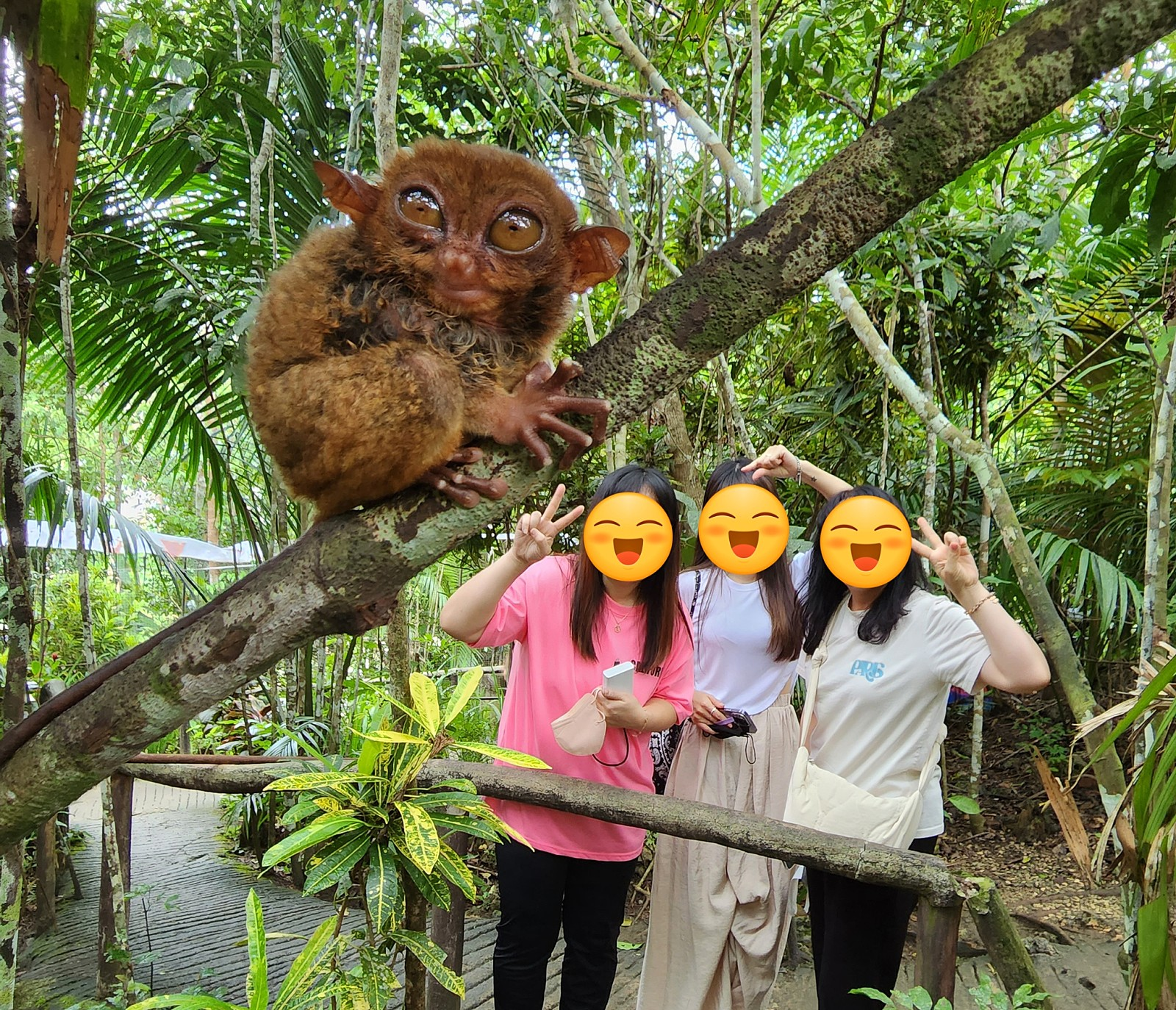 [보홀] 보홀여행은 꼭 가이드맨에서 하세요 (니아_가인드님 강추)