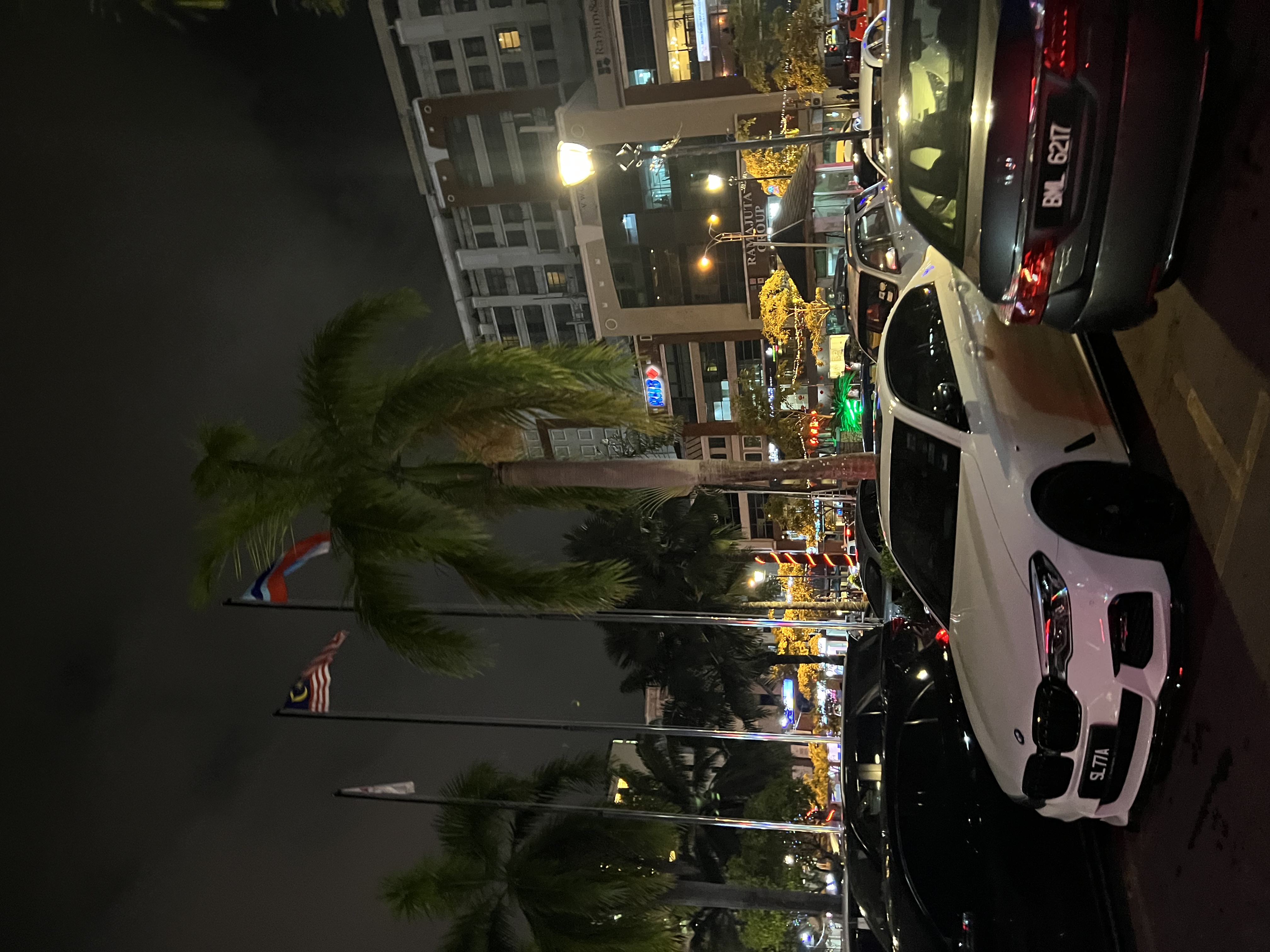 알리가이드님과 함께한 코타키나발루