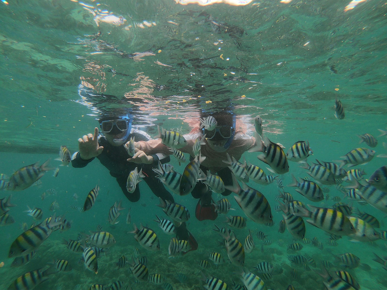 [세부] 채플린 가이드님 최고 乃