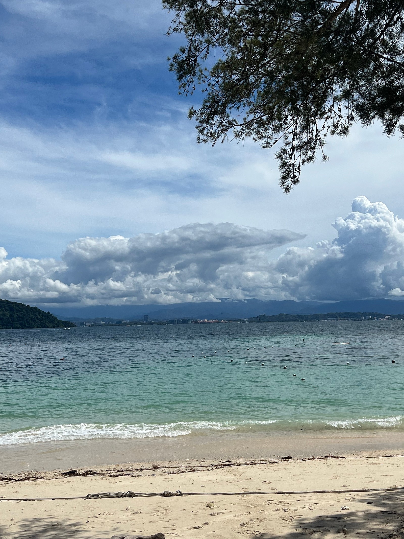 [코타키나발루] 알리가이드님과 코타키나발루 여행!!