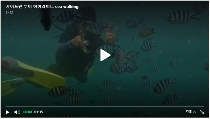 [코타키나발루] 가이드맨 투어 하이라이트 sea walking