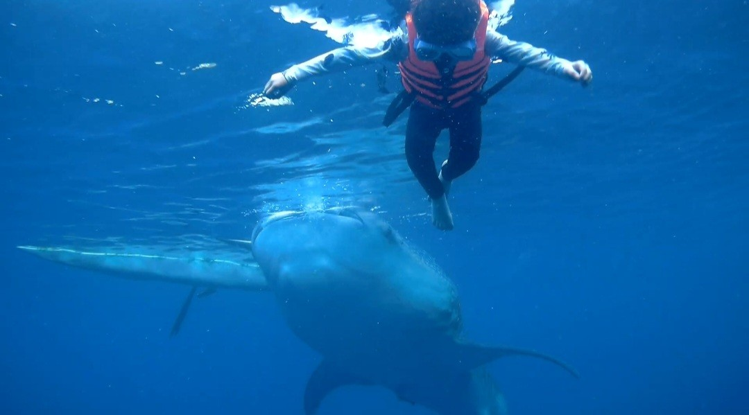 [세부] 세부 여행 잘다녀왔어요♡(이든 가이드님)