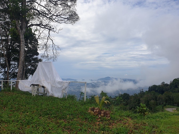[코타키나발루] 코타키나발루 원주민 두순족 민박집에서 알게된 Tongil 곤충 크리켓 Cricket