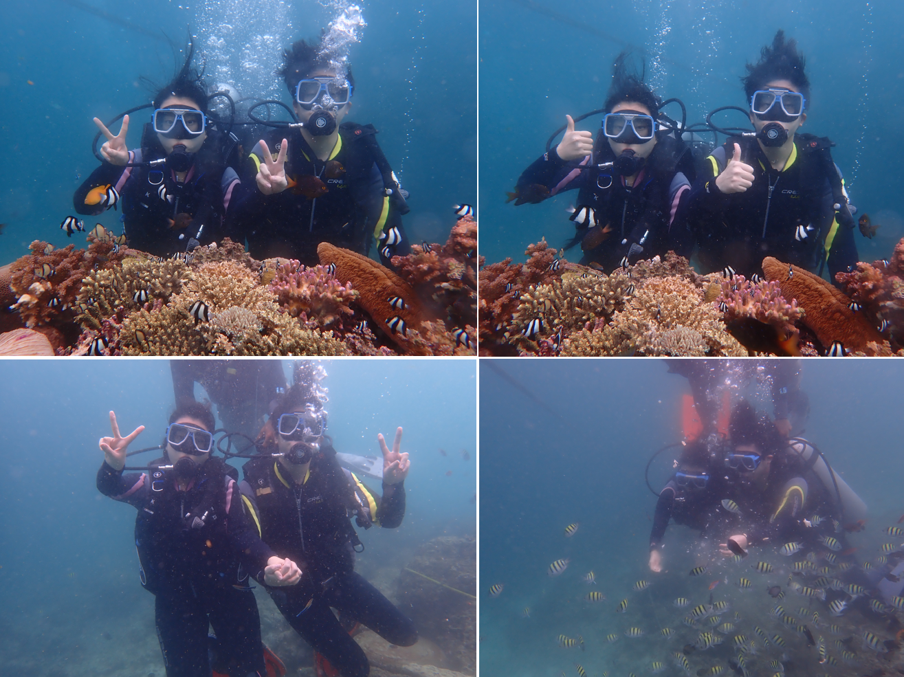 [세부] 성공적인 세부 여행기 1탄 (⭐에단님 보세요⭐)