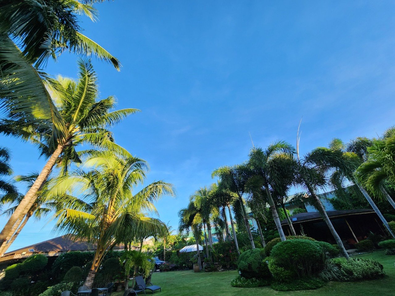 [보홀] 굿모닝 보홀~(콜가이드님)