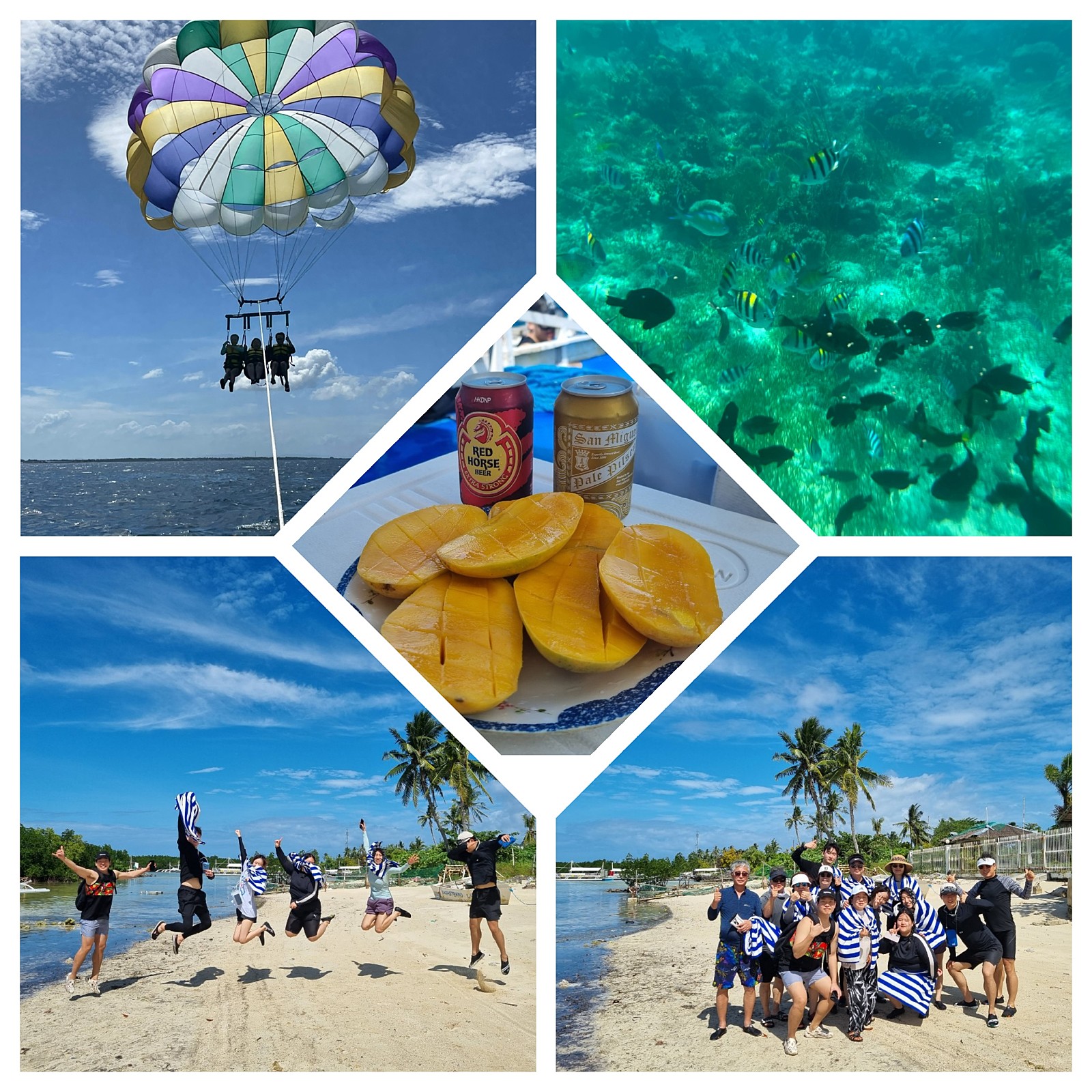 [세부] Aron 가이드님과 함께한 3박 5일의 CEBU여행 최공!!