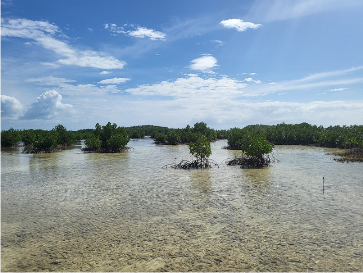 [세부] 채플린 가이드님과 함께한 세부여행