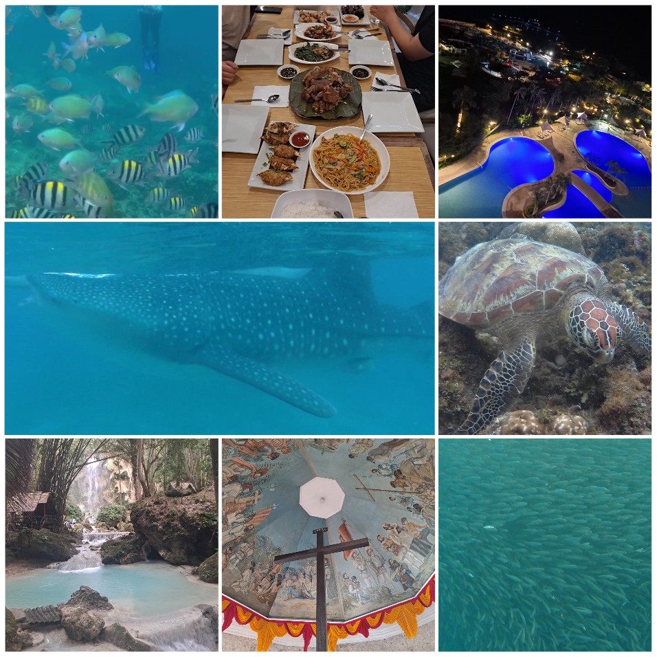 [세부] 4박6일 세부여행후기 (feat. 제롬가이드님)