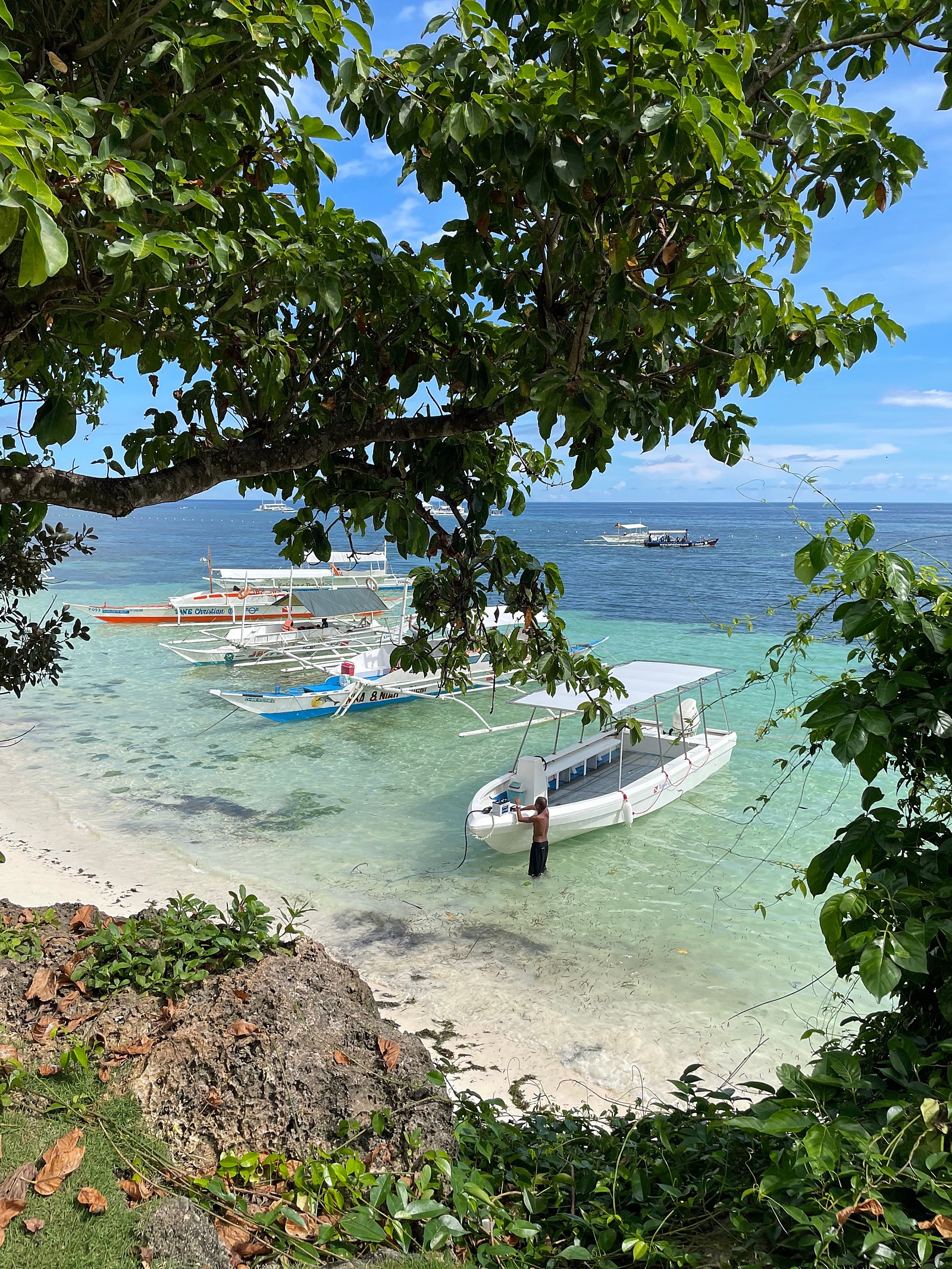 [보홀] 보홀 6인가족여행 4박5일팩 테디가이드님과 :)