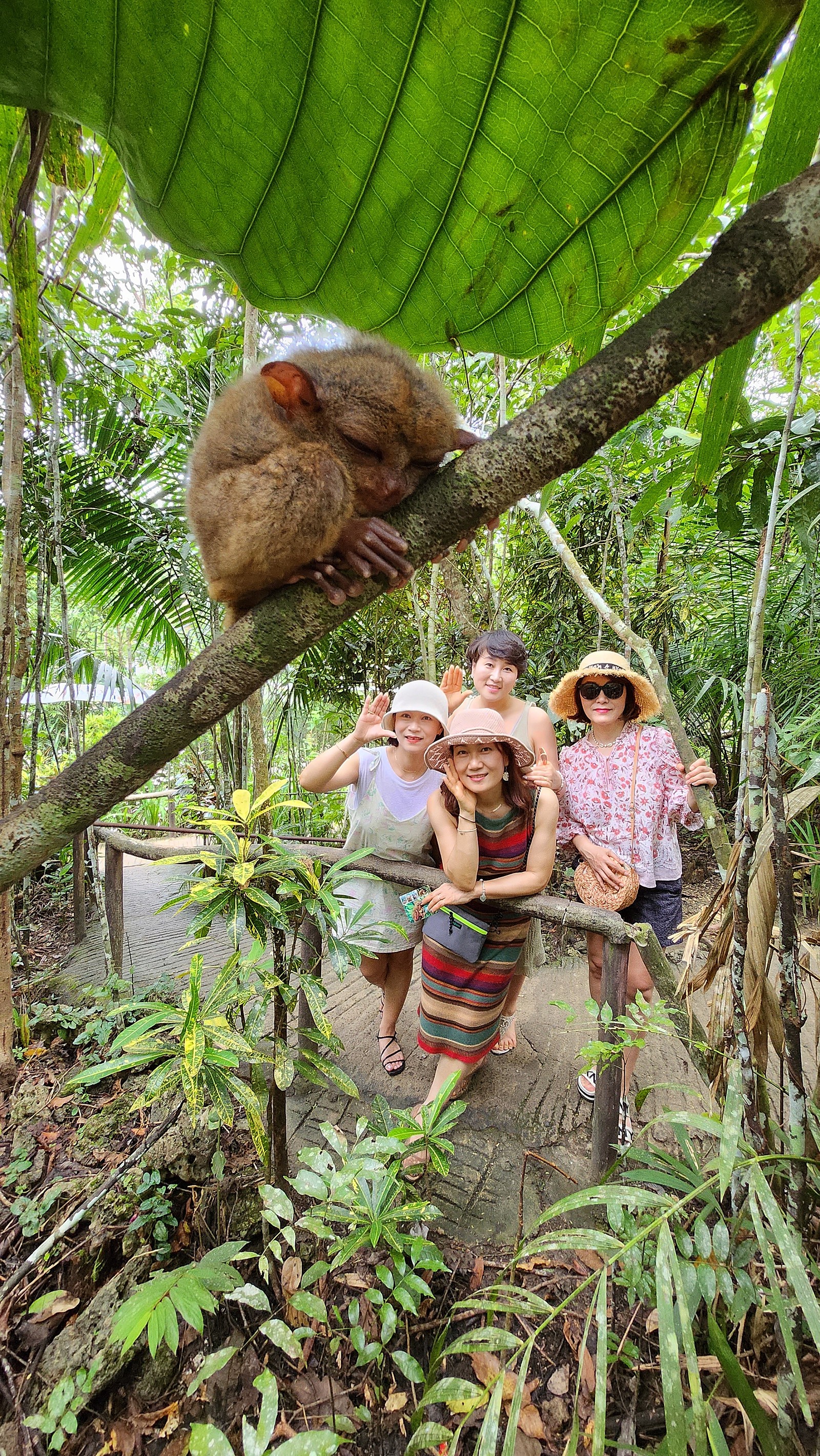[보홀] 콜가이드님과 함께한 보홀여행