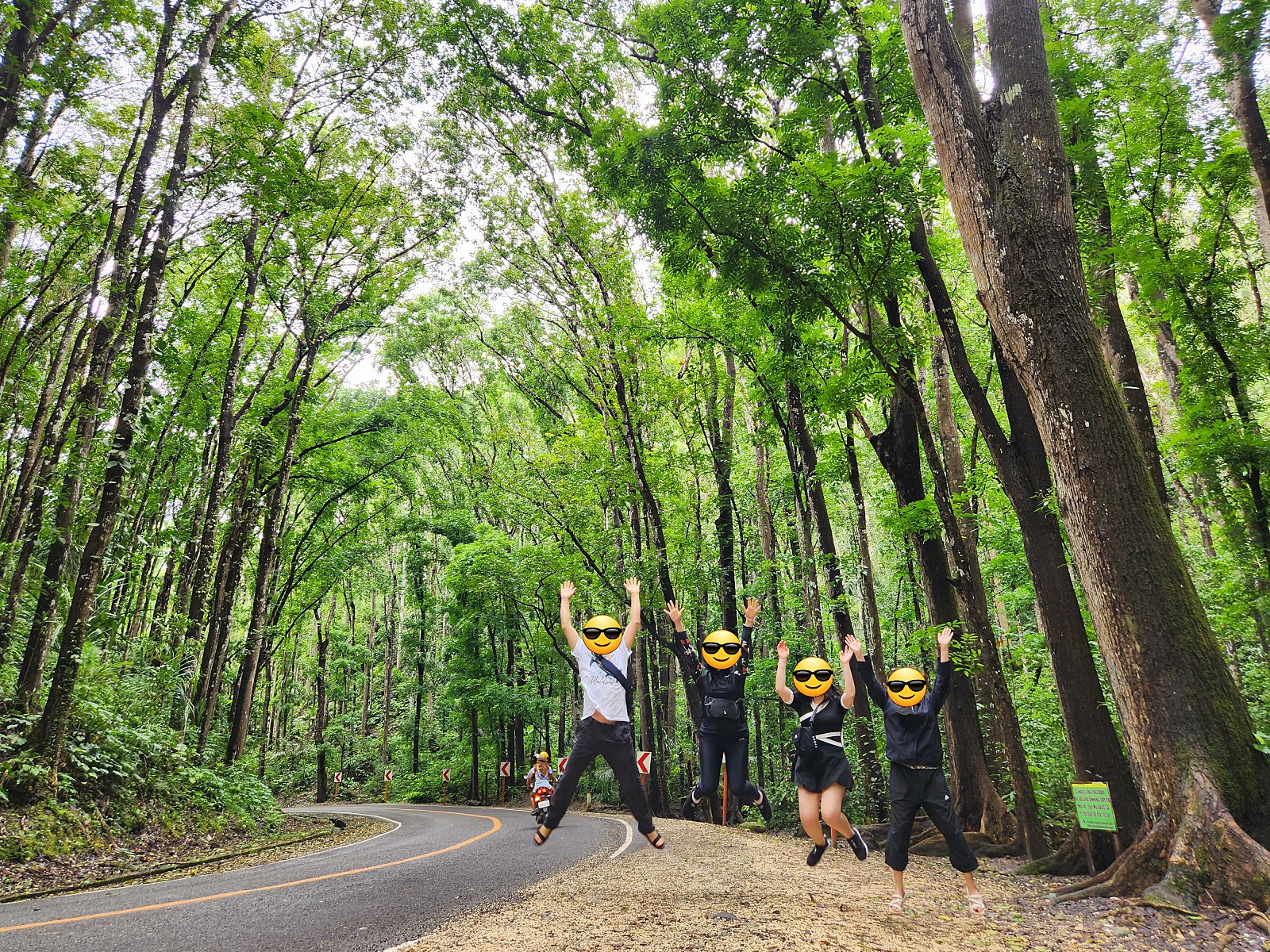 [보홀] [고래육상] 당일치기 보홀여행!! - 가이드맨 니아&오스카와 함께 떠난~