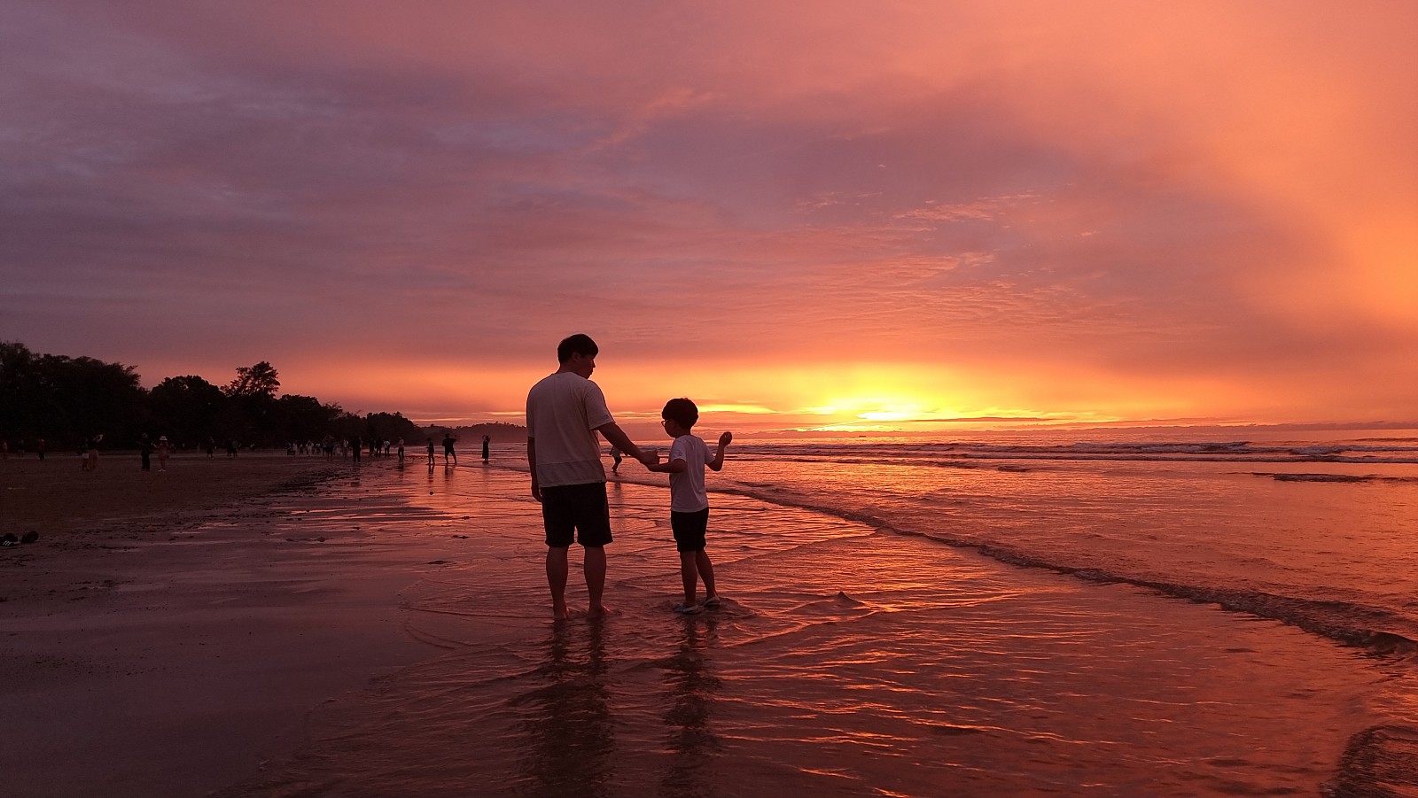 [코타키나발루] 낚시팩 + 반딧불팩(알리님) 후기