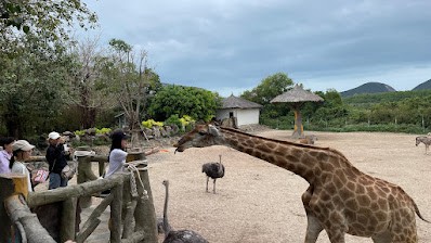 [나트랑] 나트랑 3박 5일 후기(9인가족)