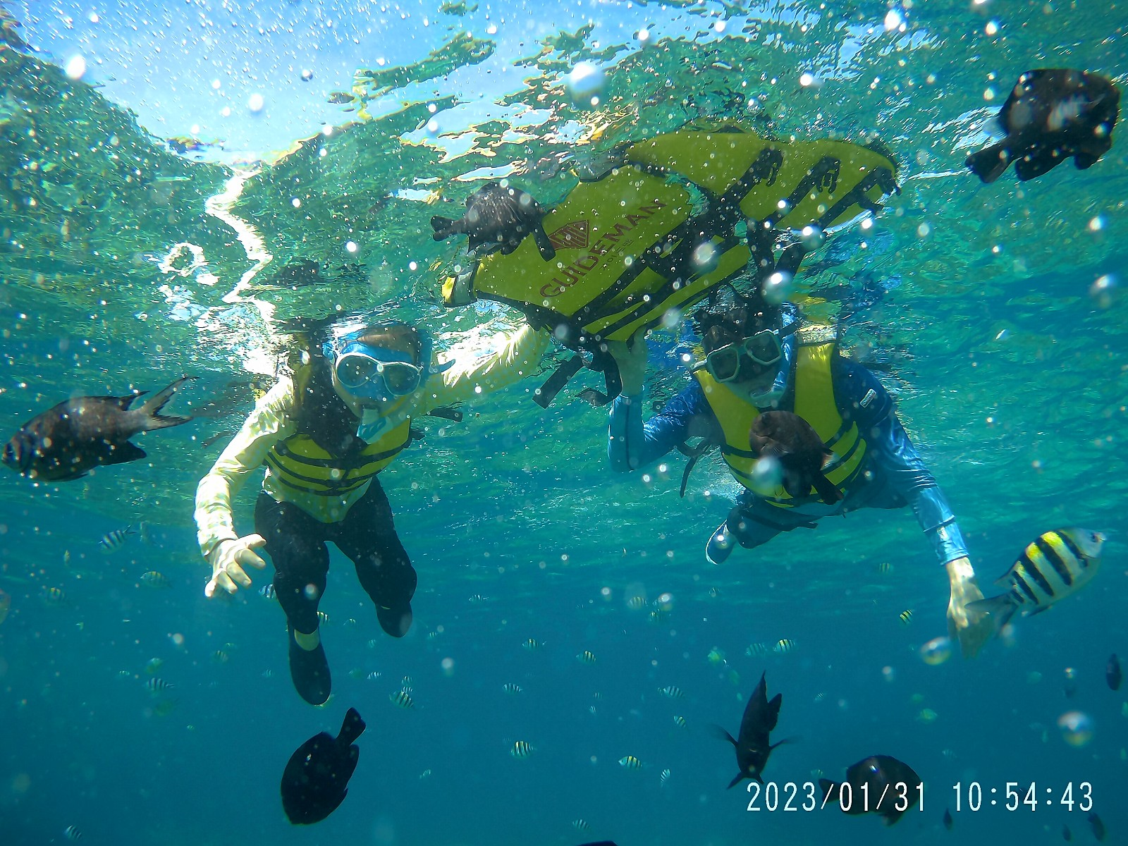 [세부] 낄낄빠빠!!! 사춘기 소년 소녀도 푹 빠진 세부여행! -제임스가이드님 감사합니다 .