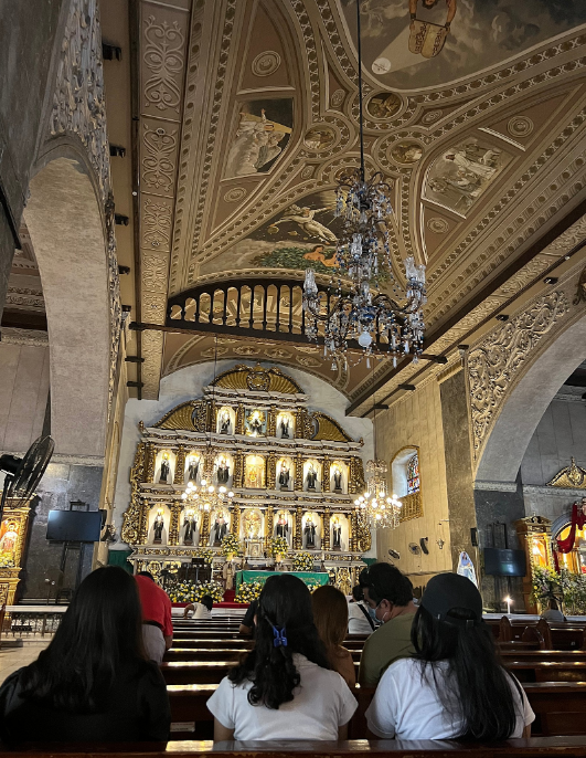 [세부] 아론가이드님과 함께한 세부 여행