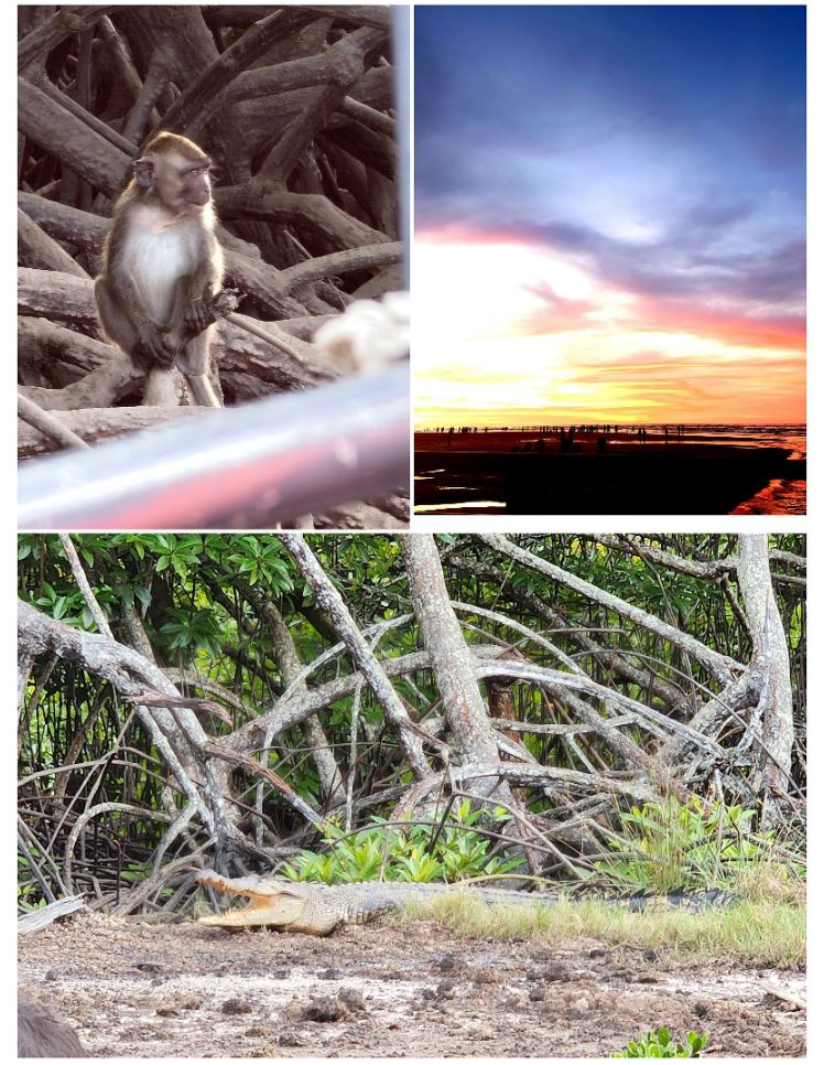 [코타키나발루] 강렬했던 코타 여행일지~~^^