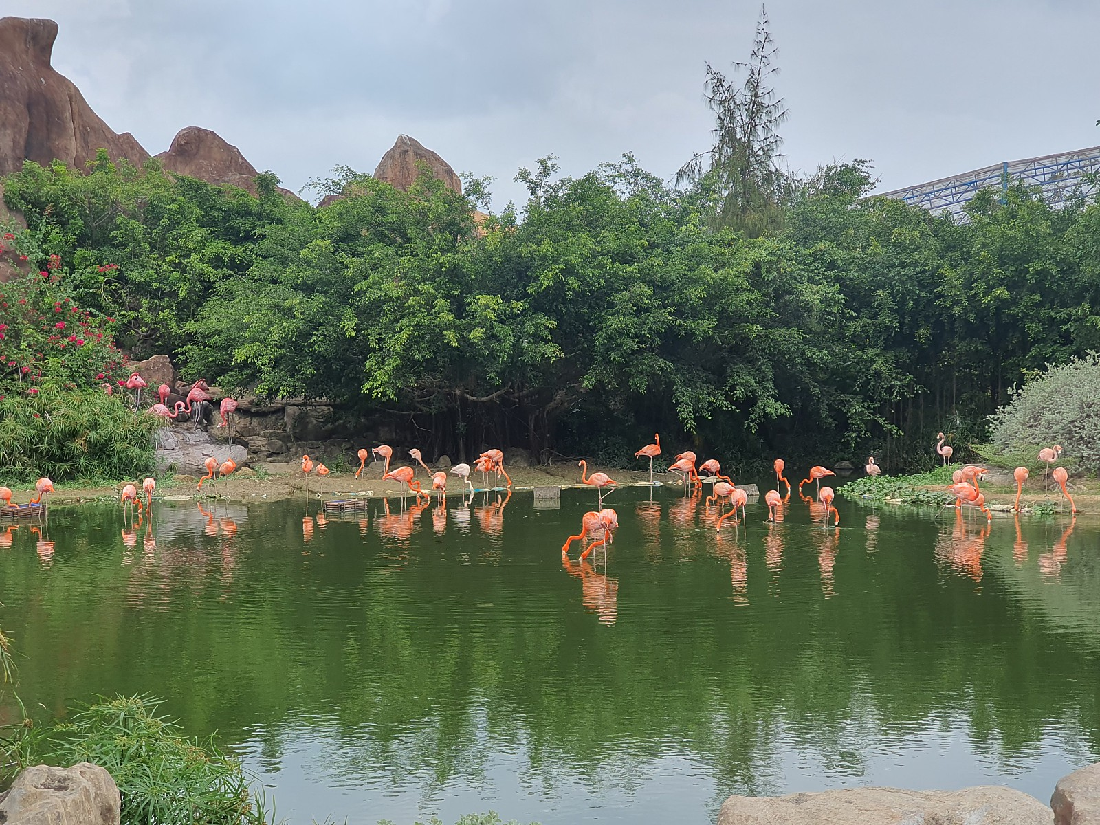 [다낭] 너무나도 행복했던 나트랑 가족여행 (2/20~2/24) _2일차 후기