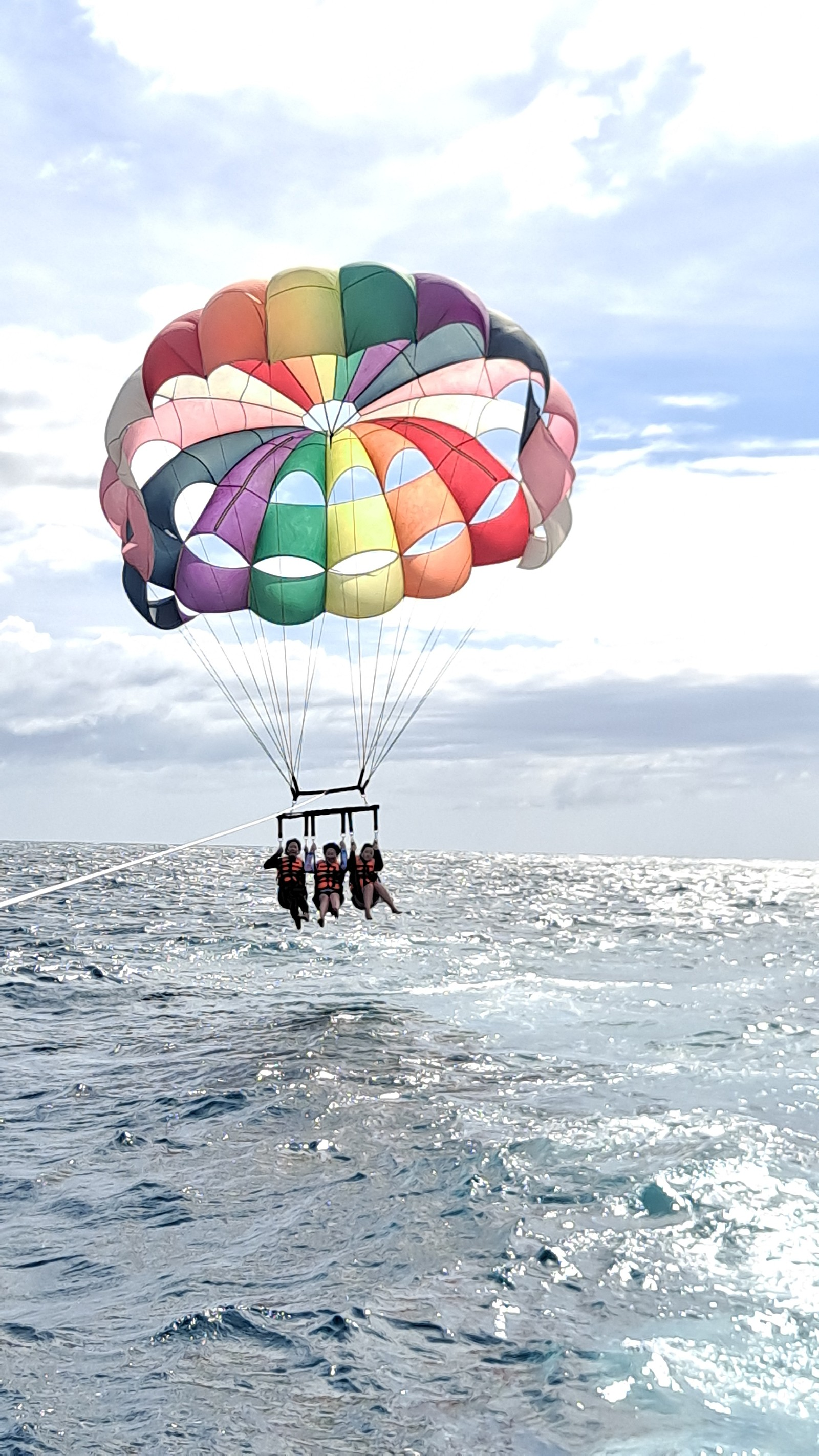 [세부] 알로에 사랑