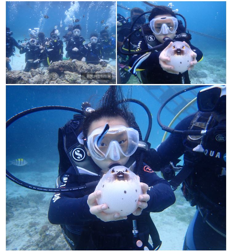 [세부] 다녀온 자의 꿀. 스포주의^^ 세부뽀개기. ★아론중독자★