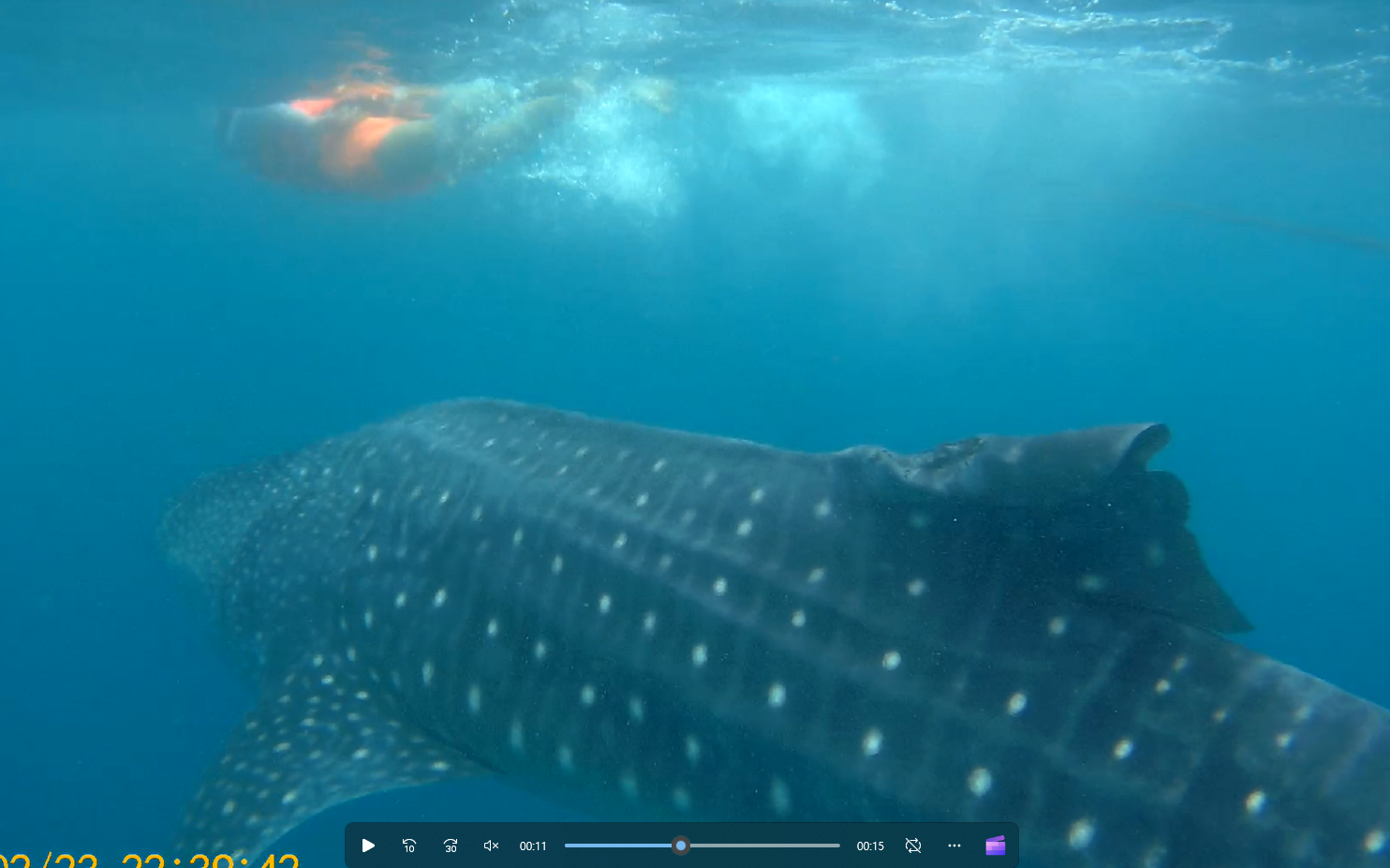 [보홀] 다시금 여행의 가치를 알게해 준 오스카가이드님과 함께 한 잊지 못할 보홀 가족여행(2023.02.04~2023.02.08)