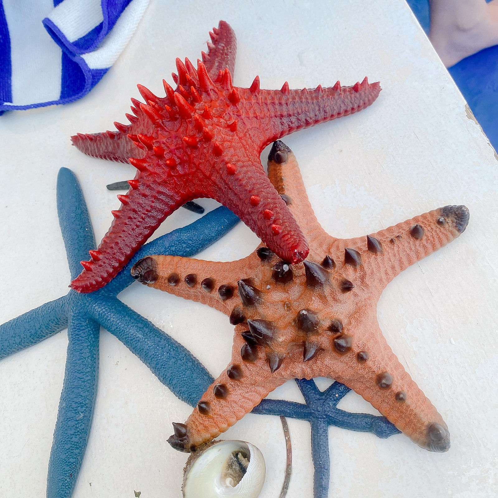 [세부] 세부여행 아론 가이드님과 함께