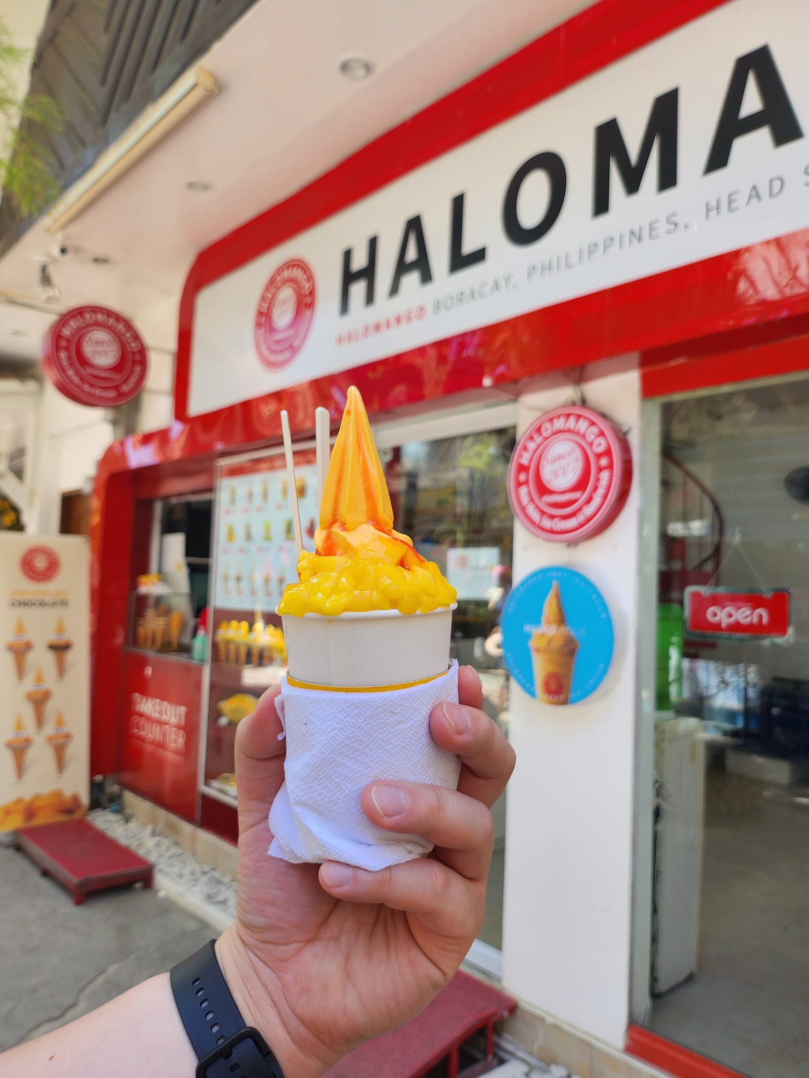 [보라카이] 3박5일 보라카이 여행(with.캐시)