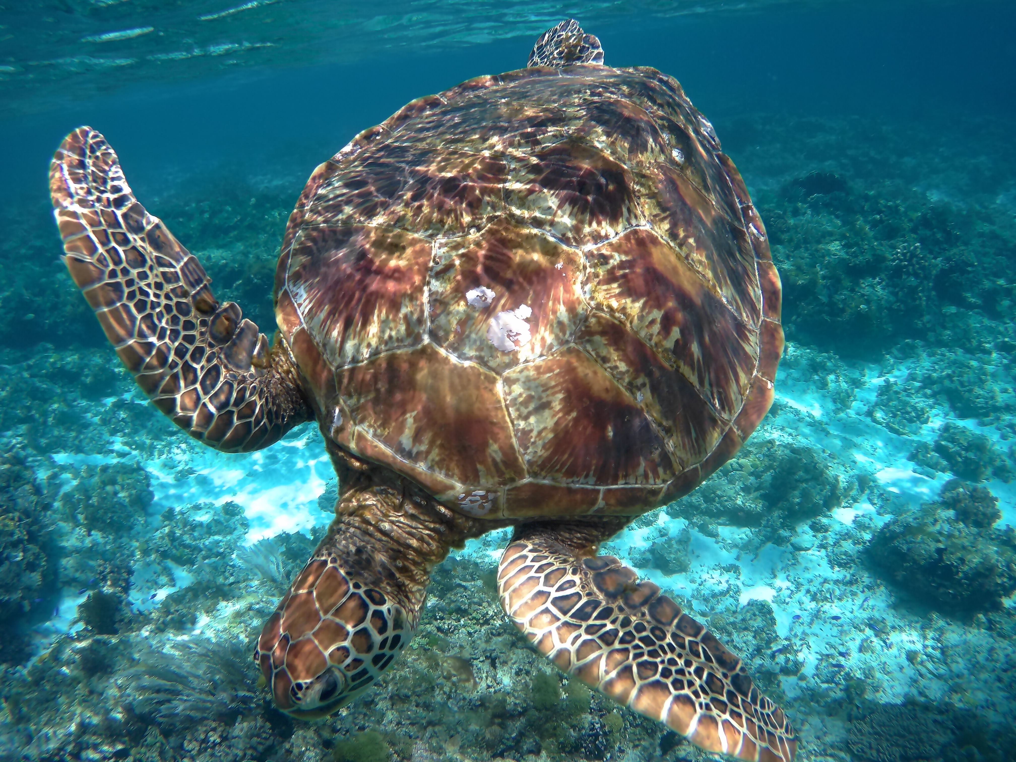 Teddy와 함께한 3박 4일 행복한 여행 후기