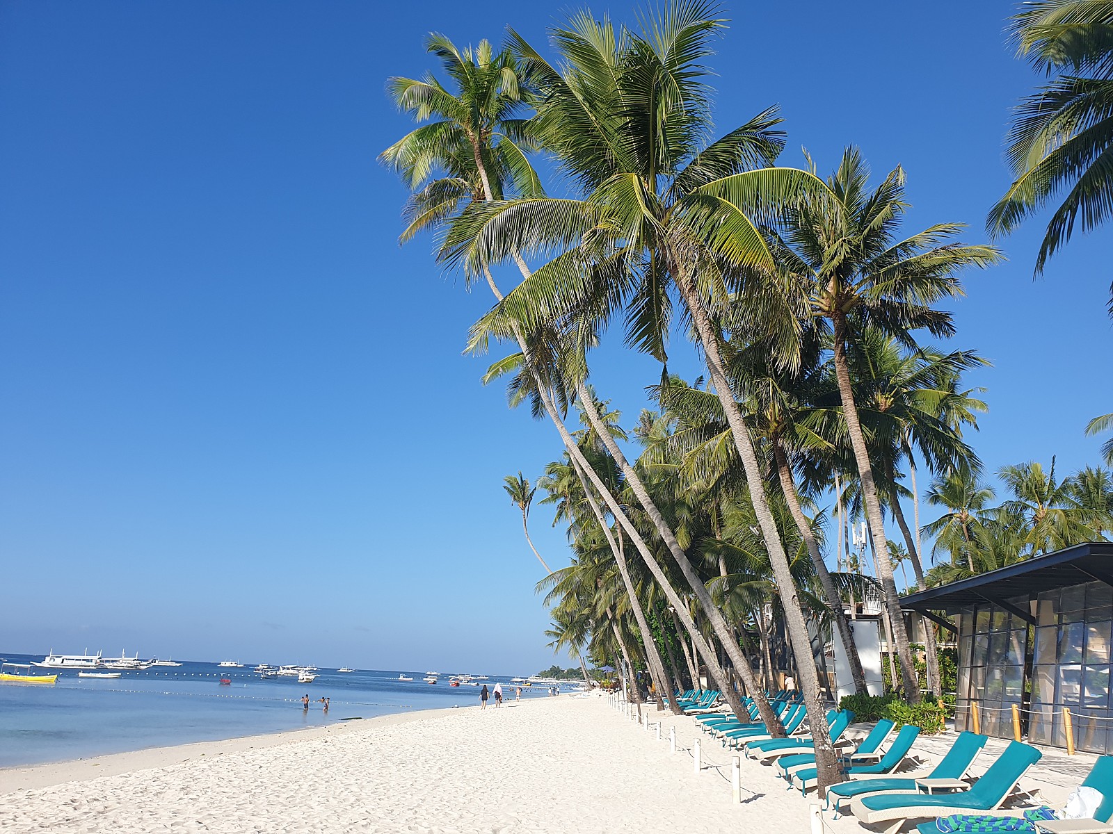 [보홀] 보홀 4박5일 콜 가이드님과 함께