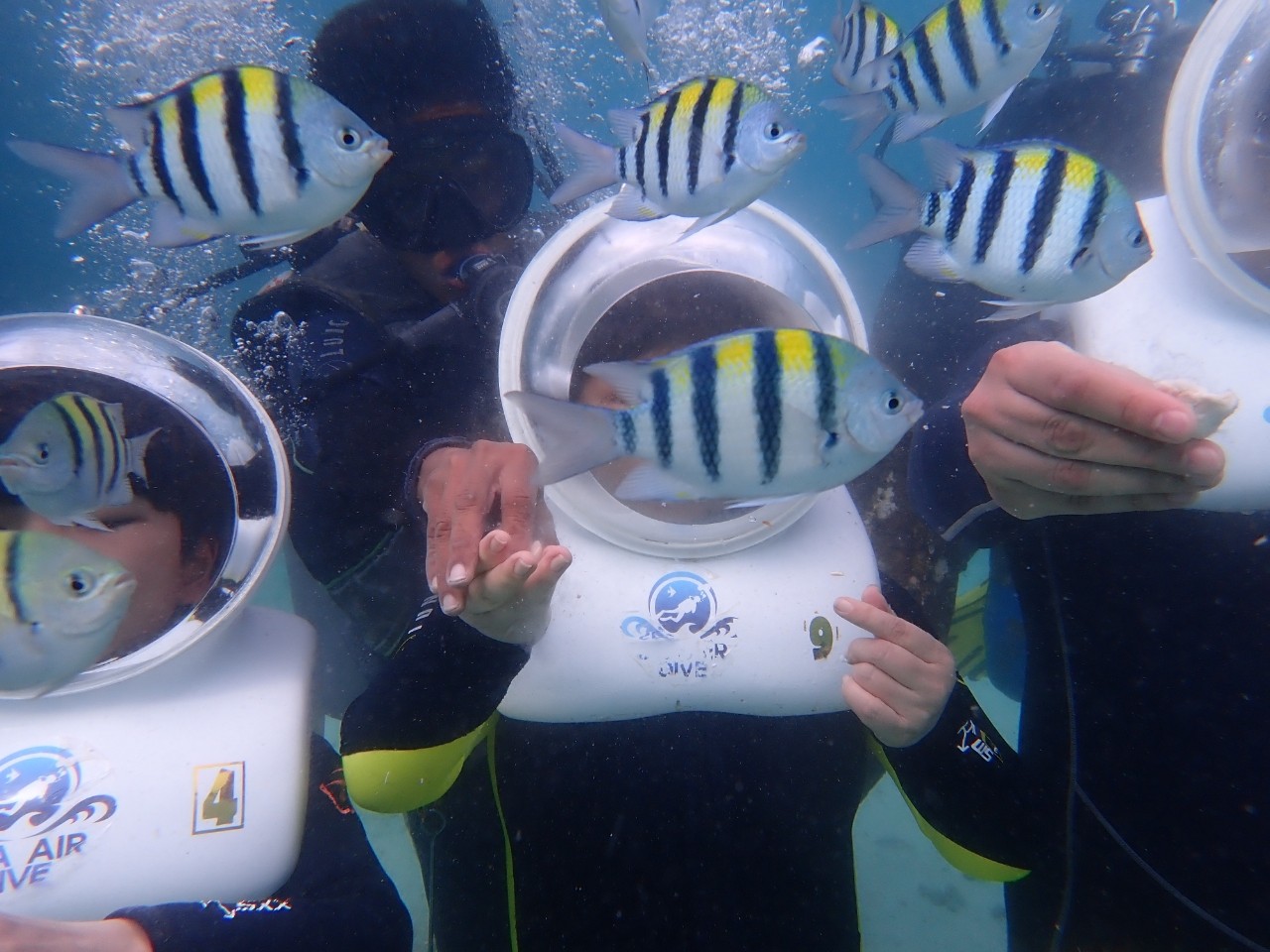 [세부] 따끈따끈한 3박4일팩 체험 후기(최강미남제롬님과함께한) 1탄