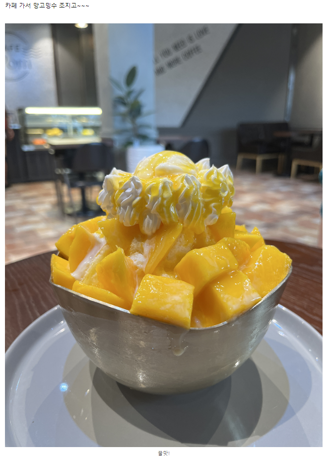 너무 늦어벌인,, 2박 4일 세부여행 후기:) (레이님, 에단님) - 2,3일차 및 마무리!