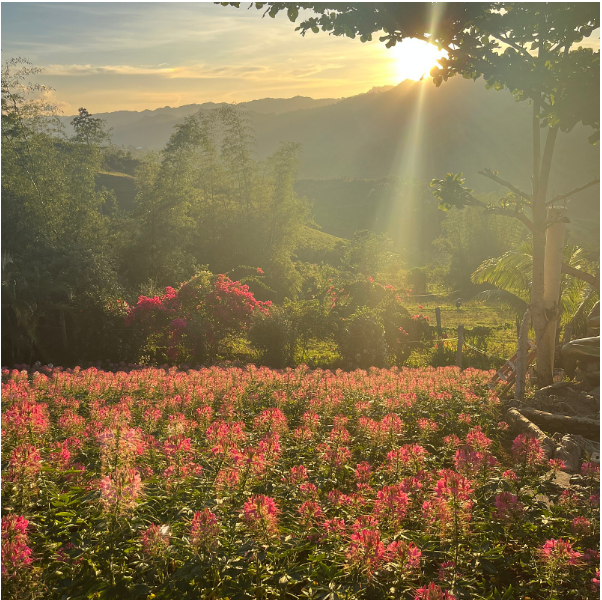 [세부] Nadia님과 함께한 좌충우돌 시티투어 후기⁉️